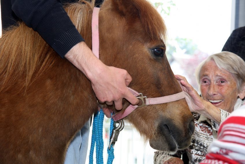 Bewohner der Evangelischen Altenpflege Bergisch Gladbach und des Hospizes am EVK bekamen Besuch von einem Pony