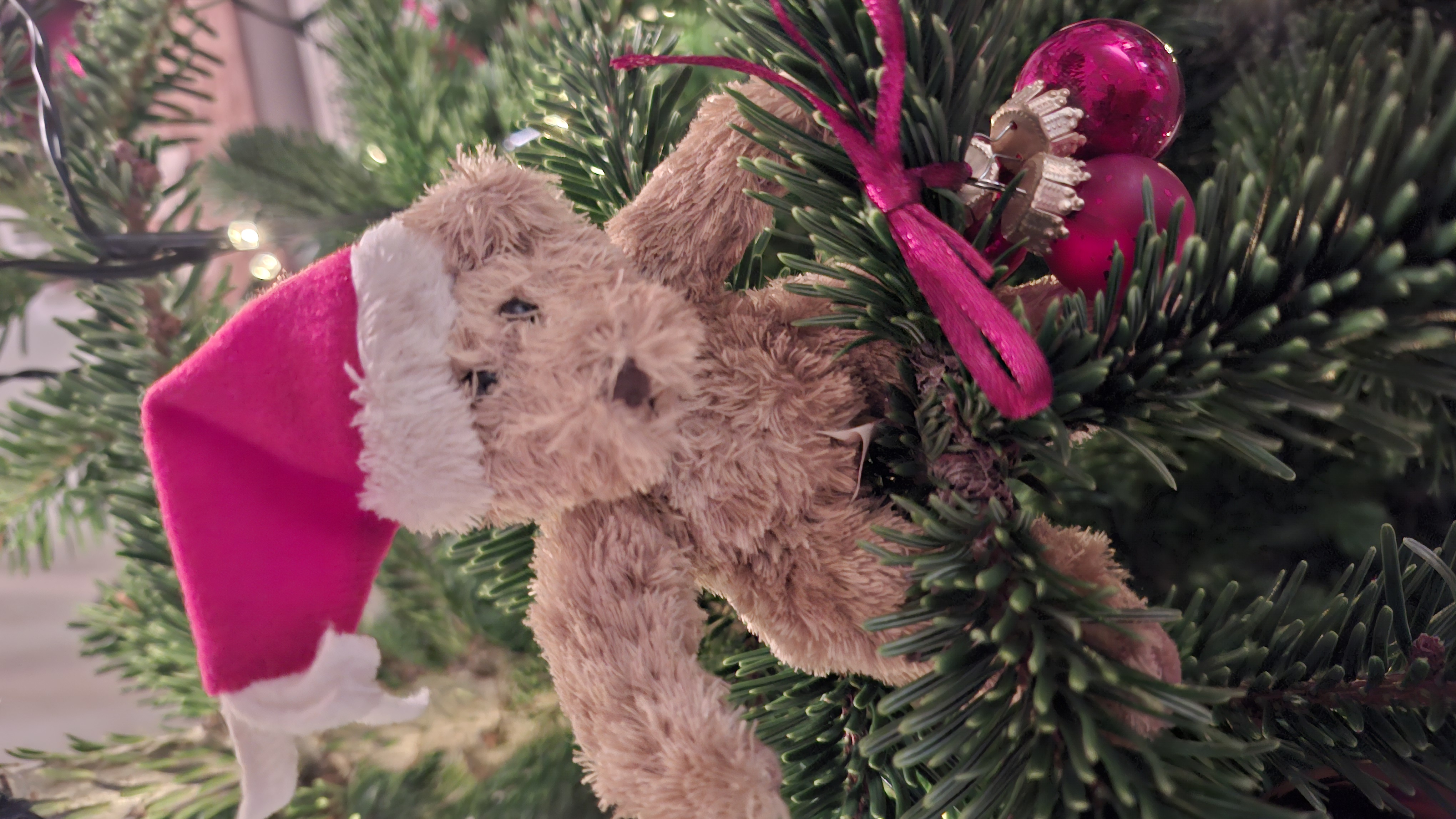 Frohe-Weihnachten-und-ein-gutes-neues-Jahr-2026