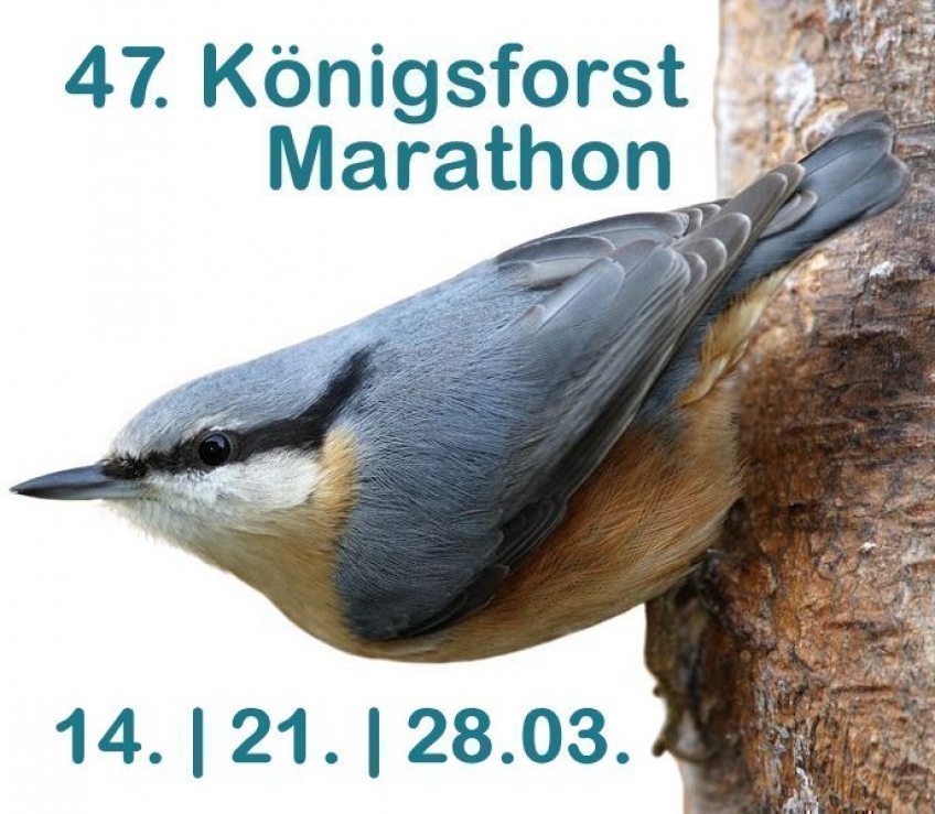 47. Königsforstmarathon 14., 21. und 28. März 2021