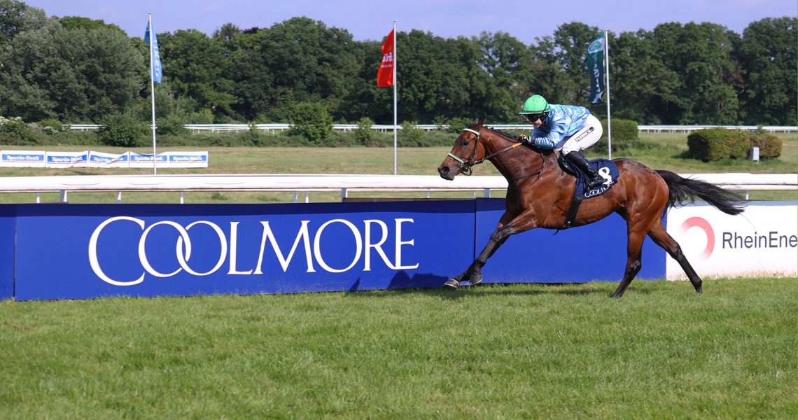 K%C3%B6lner-Galopprennbahn-Sensation-Mai-2025-Coolmore-City-of-Troy-