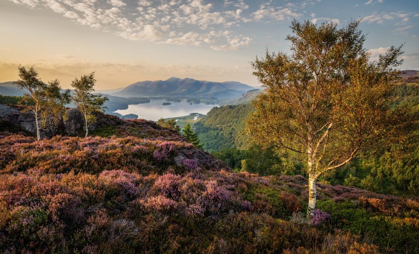 Ausstellung-IGPOTY-in-Schloss-Dyck%3A-Die-Natur-im-Fokus-ab-1--November-2026