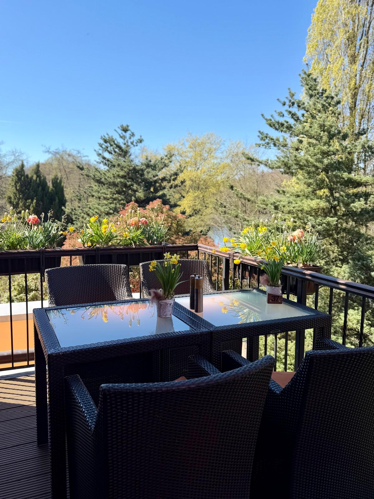 La-Maison-Verde%3A-Eine-neue-kulinarische-Identit%C3%A4t-am-Bensberger-See