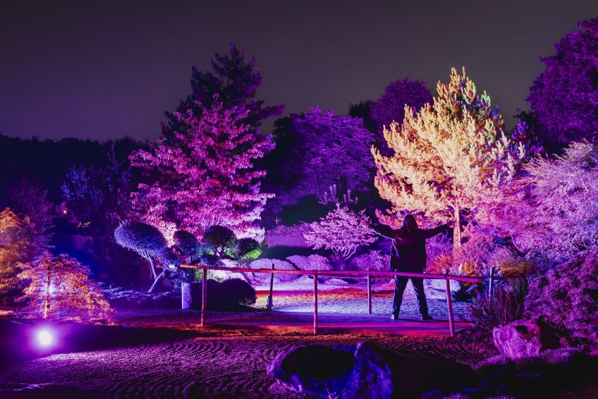 Magischer Lichterschein beim Lichtfestival in Schloss Dyck