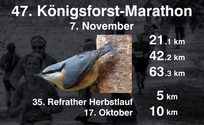 Start für eine virtuelle Auflage des Köfo-Marathon 01.03.2021