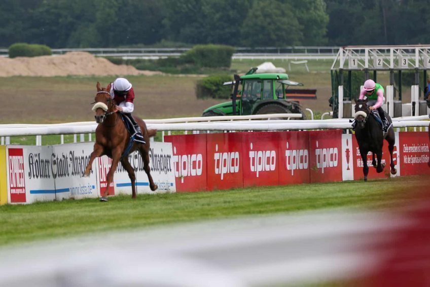 Kölner Saisonauftakt am Ostermontag: Galopp-Star Wonderful Moon im Duell mit Senkrechtstarter Nerium – Livestream-Übertragung und Viererwette